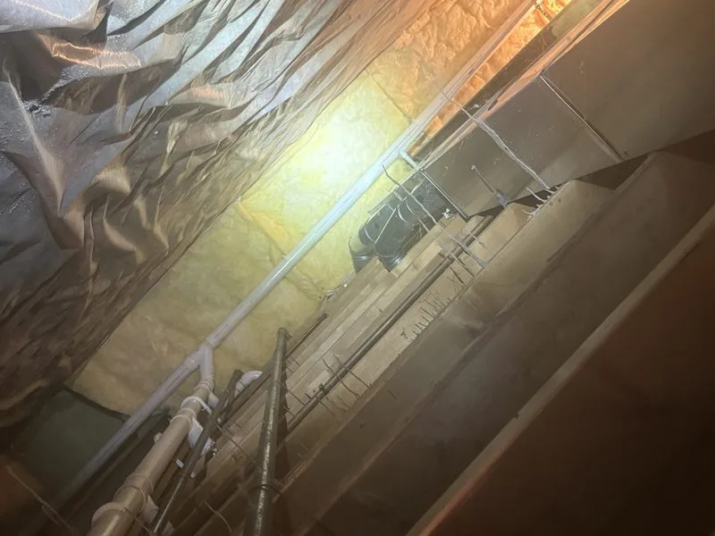 Termite treatment - termites control in Plain City, Ohio - Pest Control PRO LLC
