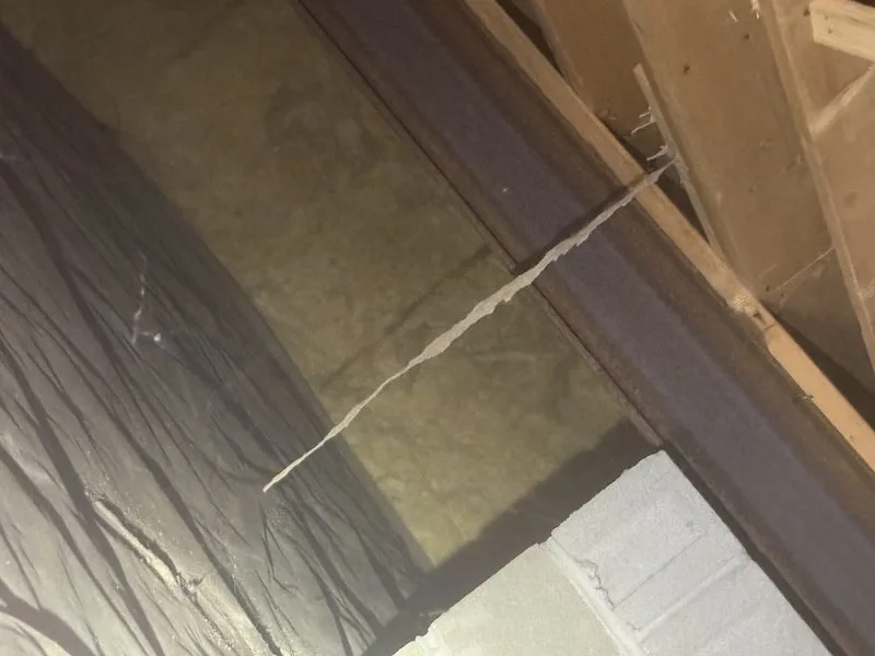 Termite treatment - termites control in Worthington, Ohio - Pest Control PRO LLC
